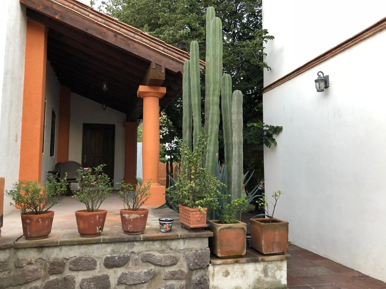 Alamedas Departamentos Centricos Con Estacionamiento Privado * Guanajuato