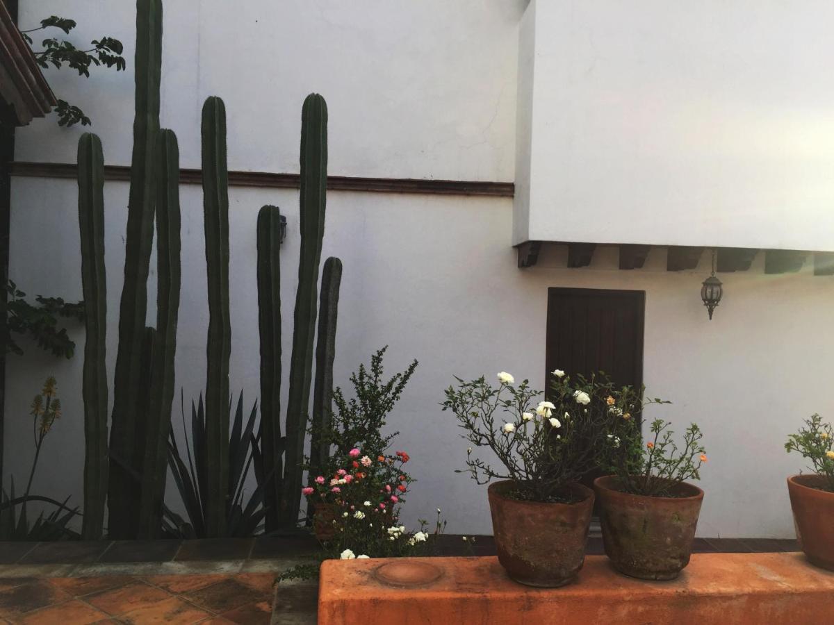 Apartamento Alamedas Departamentos Céntricos Con Estacionamiento Privado
